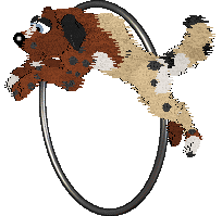 Dandy's Already Named at Medusa — “Jewel”