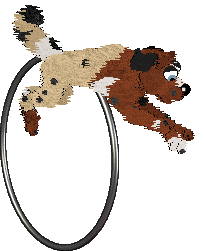 Dandy's Already Named at Medusa — “Jewel”