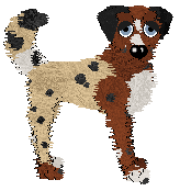 Dandy's Already Named at Medusa — “Jewel”