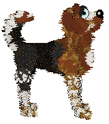 Eli's Lobbying Locks at Medusa — “Loblolly”