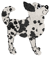 Poppyhill's Guaranteed Good Looks at Medusa — “Garfish”