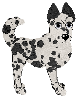 Poppyhill's Guaranteed Good Looks at Medusa — “Garfish”