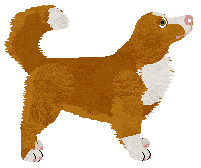 MORPHEE's Wyjście ze Strefy Komfortu — “Kosma”