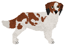 Profile image of Dragosani BUKIET STOKROTEK