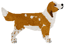 Dragosani FARBA SIĘ ROZLAŁA — “Atom”