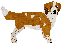 Profile image of Dragosani FARBA SIĘ ROZLAŁA