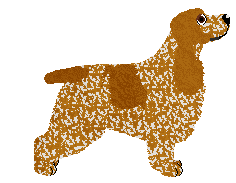 BE PRETTY RUDY of Aventure — “Rudziak”