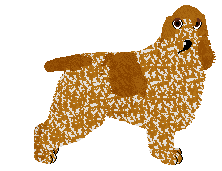 Profile image of BE PRETTY RUDY of Aventure