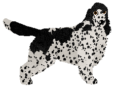 Profile image of Dragosani SZKLANE PRELUDIUM