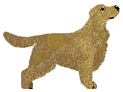 Dragosani KLASYKA GATUNKU — “Diuna”