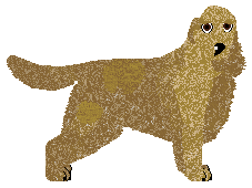 Profile image of Dragosani KLASYKA GATUNKU