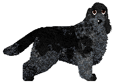 Profile image of Dragosani MŁODY GNIEWNY