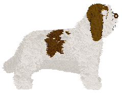 Polka Uwięzieni w Domu — “Nairobi”