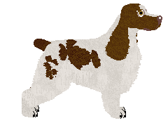 Dragosani HOT CHOCOLATE — “Jue”