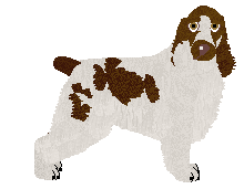 Profile image of Dragosani HOT CHOCOLATE