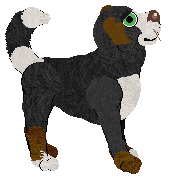 Amphigory's Root of the Problem — “Apicoectomy”