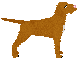 Dragosani DIABEŁ TKWI W SZCZEGÓŁACH — “Rafa”