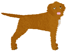 Profile image of Dragosani DIABEŁ TKWI W SZCZEGÓŁACH