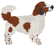 Dragosani KAPSEL OD TYMBARKA — “Kapsel”