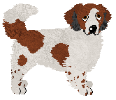 Profile image of Dragosani KAPSEL OD TYMBARKA