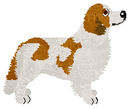 Dragosani HERBATA OWOCOWA — “Hela”