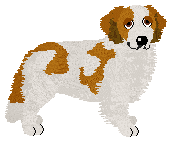 Profile image of Dragosani HERBATA OWOCOWA