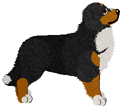 Caliente's Justice Reigns Supreme — “Justice”