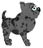 HK Beyond the Veil — “Marah”