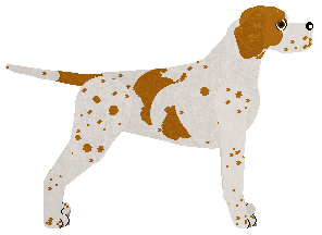 Peregrine Real Verified — “Sunday”