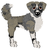 Profile image of Sz's Golden Boy