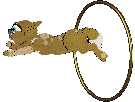 Mazzew's Impersonable Strength — “Impersonable Strength”