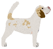 Dragosani GAMOŃ JAKICH MAŁO — “Gamoń”