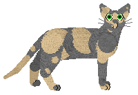 Starling Cool Down — “Milena”