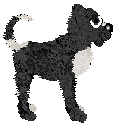 King's Sea Of Stars at Perfume — “Luna”