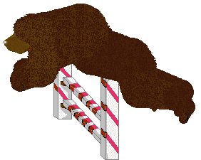 Dragosani PRIMA APRILIS JOKE — “Prima”