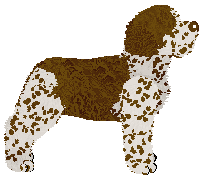 Dragosani Secret Manuscript — “Codex”