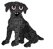 Profile image of Frogbowl To The Point