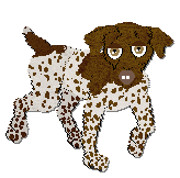 Profile image of Frogbowl Joy In Spots