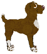 Frogbowl Over The Moor — “Mauritz”