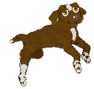 Profile image of Frogbowl Over The Moor