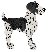 Frogbowl Noble Birth — “Elke”