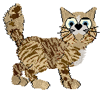 NSP's Little Fisherman at Chachke — “Sardine”