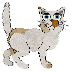 SSM's Eat Your Oranges at Chachke — “Scurvy”