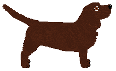 Peregrine Royal Flush — “Poker”