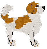 Frogbowl In The Middle — “Pickle”