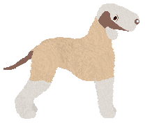 Mirror Blue's Noseworthy Performance — “Noseworthy”