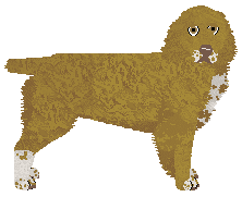 Profile image of Dragosani THE ELVEN COMB