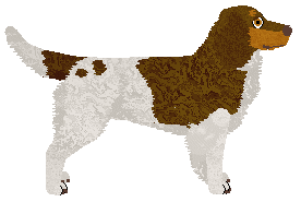 Dragosani MUSIC BEHIND THE WALLS — “Bonnie”