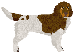 Profile image of Dragosani MUSIC BEHIND THE WALLS