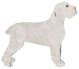 Dragosani HYPNOTIZE ME — “Hype”